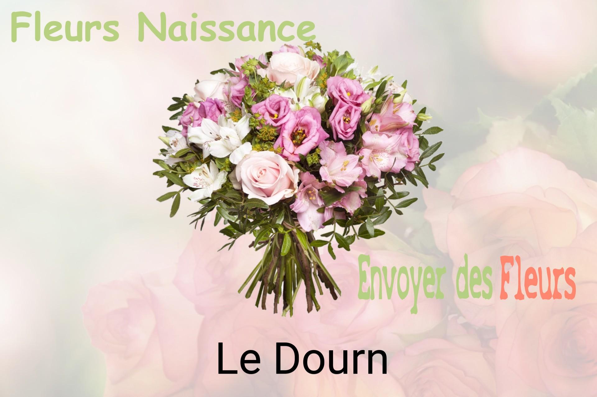 Bouquet de fleurs de naissance livré à Le Dourn
