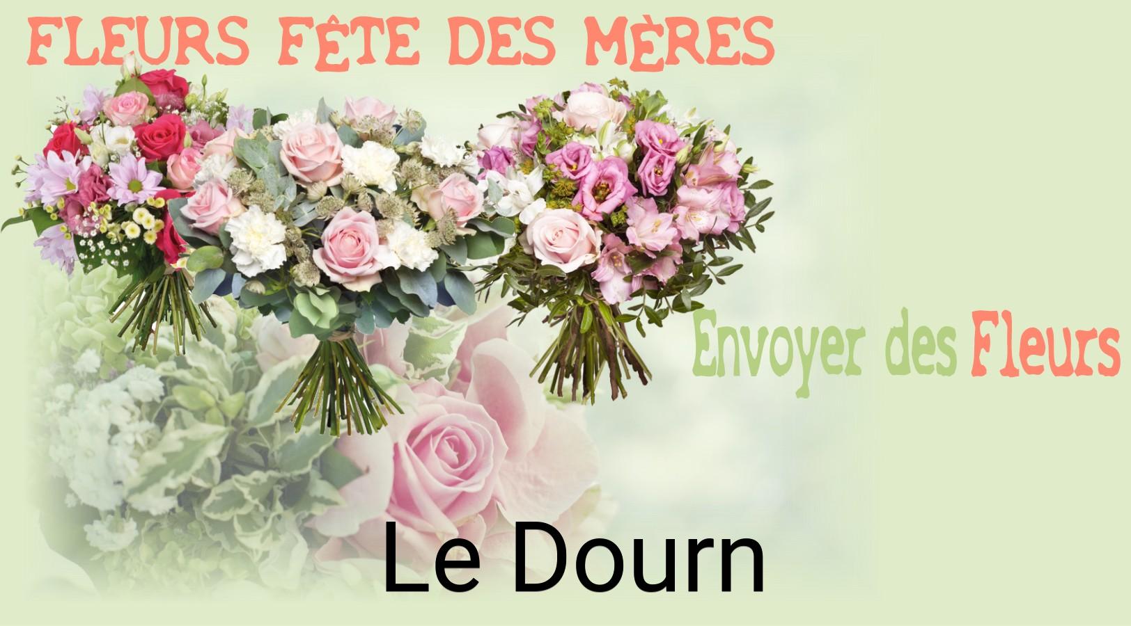Bouquet de Fête des Mères livré à Le Dourn